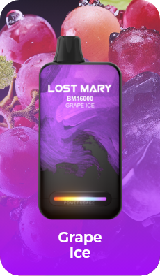 BUY ONE GET ONE FREE LOST MART BM16000